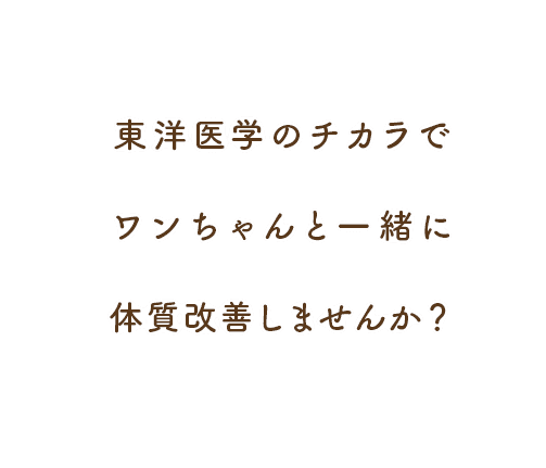 東洋医学のチカラでワンちゃんと一緒に体質改善しませんか？